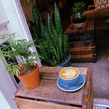 Urban Backyard - Outdoor bench - Coffee & Tea Near Me - New York, New York Urban Backyard - Outdoor bench - Coffee & Tea Near Me - New York, New York