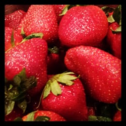 Top Of The Hill Quality Produce