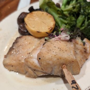 Seed to Table - Grocery Near Me - Naples, Florida Seed to Table - Grocery Near Me - Naples, Florida