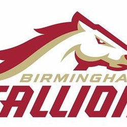 Birmingham Stallions USFL team logo