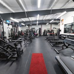 Wellness Elite Fitness - Strength floor -- Panatta, Atlantis, Watson. Hand-curated equipment for serious training.