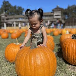 Fog Willow Farms - Cutest pumpkin in the patch!