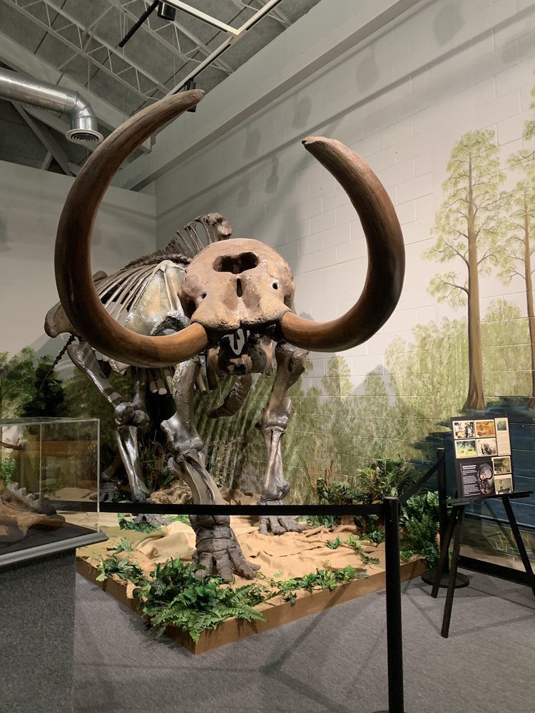 BREVARD MUSEUM OF HISTORY & NATURAL SCIENCE 13 Photos Museums