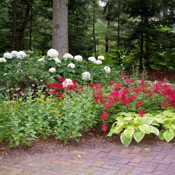 Topiary Garden Works - A Perennial Garden.... - Gardeners Near Me - Minneapolis, Minnesota Topiary Garden Works - A Perennial Garden.... - Gardeners Near Me - Minneapolis, Minnesota