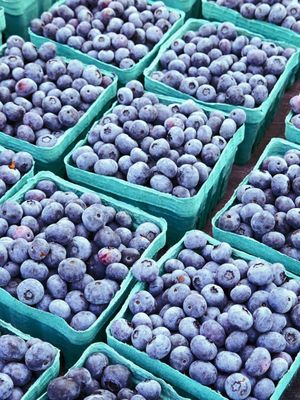 Sellwood Moreland Farmers Market by null