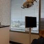 Dental Salon