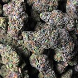 Christian Weed Shop - Gelato marijuana strain