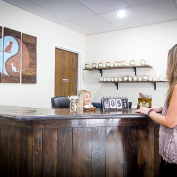 Holistic Veterinary Care - Reception area - Veterinarians Near Me - Fort Wright, Kentucky