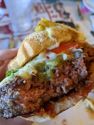Santa Fe Bite by null