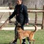 Photo of Unleashed Canine