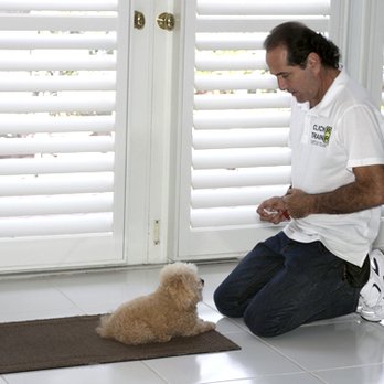 ClickR TrainR - In home dog training. We train any size dog for all your dog training needs. - Pet Training Near Me ClickR TrainR - In home dog training. We train any size dog for all your dog training needs. - Pet Training Near Me
