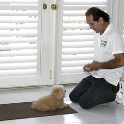 ClickR TrainR - In home dog training. We train any size dog for all your dog training needs.