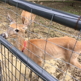 Olentangy Indian Caverns - Petting zoo? - Tours Near Me - Delaware, Ohio