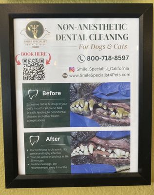 Lucky's Pet Care by null