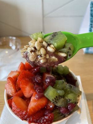 Blenders and Bowls - Lamar by null
