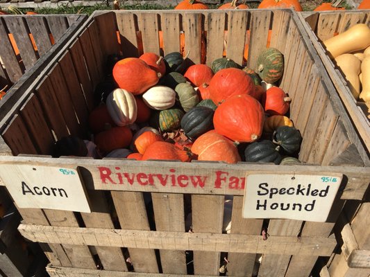 Riverview Farm by null