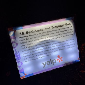 Elite Experience: Dragon Lights Reno - Thank you Yelp! - Yelp Events Near Me - Reno, Nevada