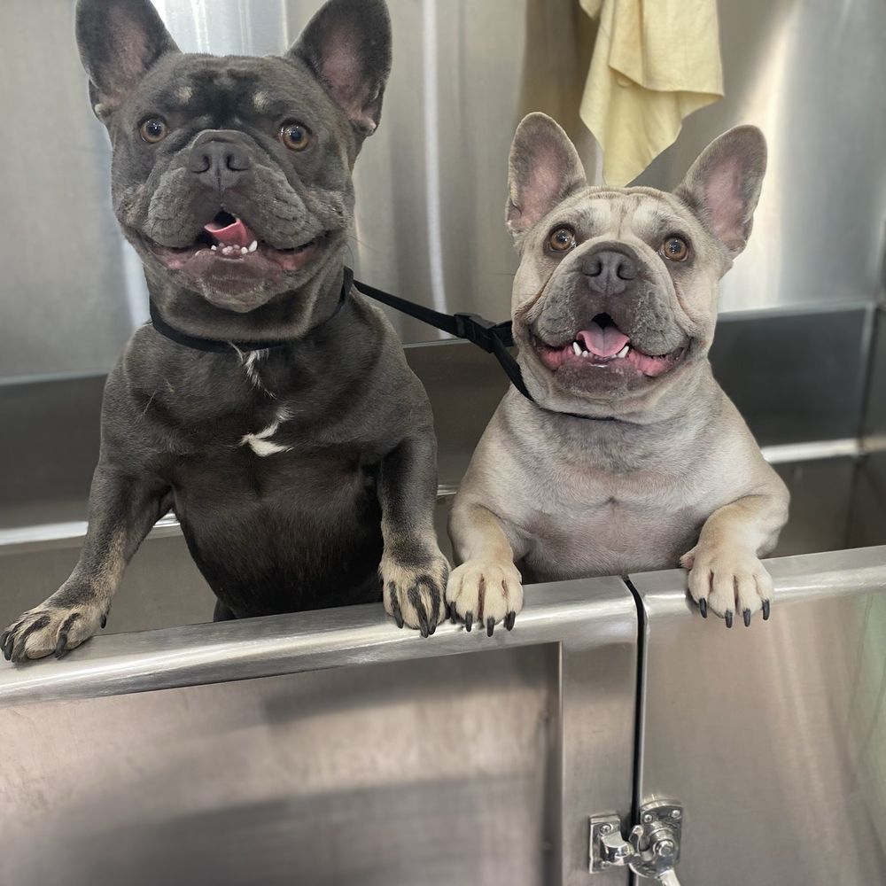 Bark Boulevard Grooming - Pet Groomers Near Me - Greensburg, Pennsylvania