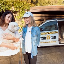 Tail A Cab Pet Transport