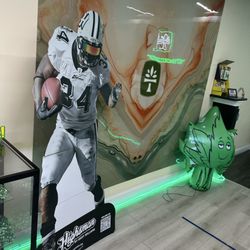 Treeotics - Photo of custom Treeotics wall mural and Highsman by Ricky Williams.