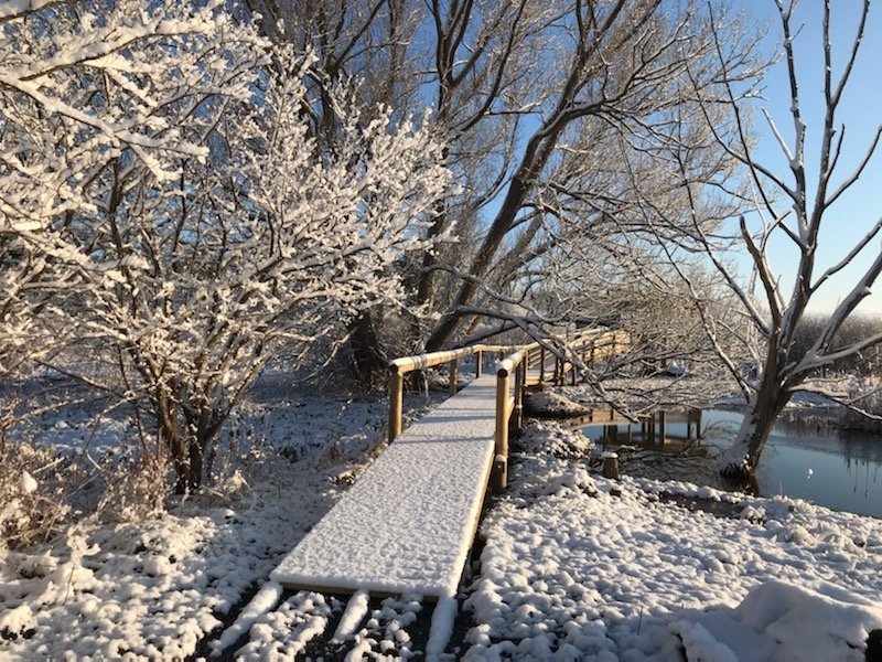 WILLOW GLEN CHRISTIAN SCHOOL Updated September 2024 1768 Dryden Rd