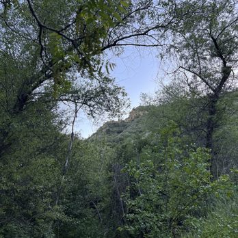 East and Rice Canyons - Hiking Near Me - Newhall, California