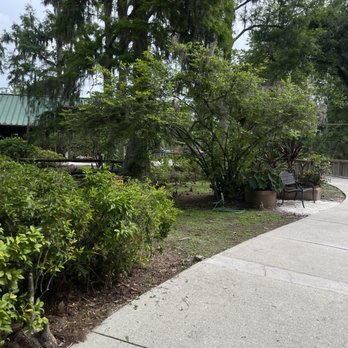 Eureka Springs Park - Parks Near Me - Tampa, Florida Eureka Springs Park - Parks Near Me - Tampa, Florida