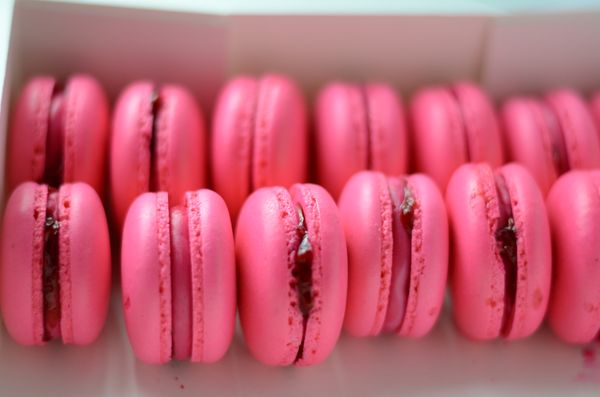 The Baker's Daughter by null