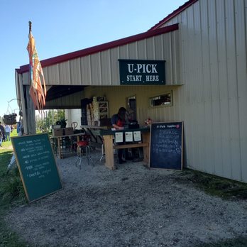 Prairie Sky Orchard - Pick Your Own Farms Near Me - Union, Illinois