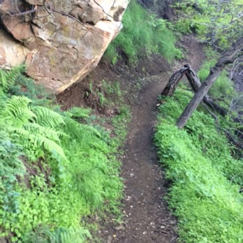 Piuma/Stunt Trailhead - Hiking Near Me - Calabasas, California Piuma/Stunt Trailhead - Hiking Near Me - Calabasas, California