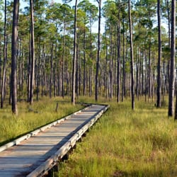 Big Branch Marsh - Boy Scout Road