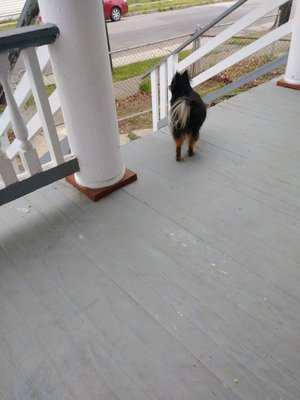 fairfield veterinary clinic