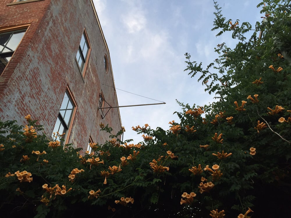 Social spots from Trenton Social