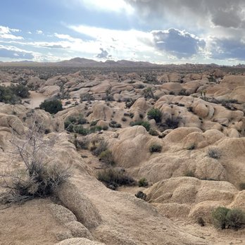 Joshua Tree National Park - Gorgeous terrain :) - Parks Near Me - Joshua Tree, California Joshua Tree National Park - Gorgeous terrain :) - Parks Near Me - Joshua Tree, California