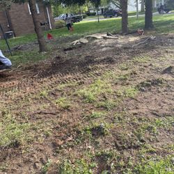 Hill Top Tree Service