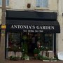 Photo of Antonia's Garden