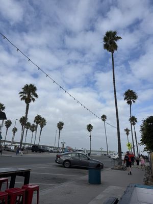 Mike's Taco Club by null