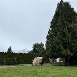 Orchard Park - Orchard Park