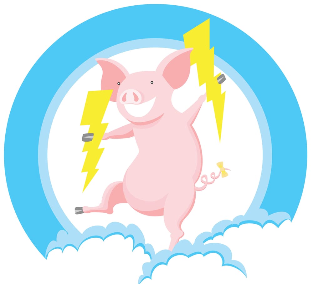 Thunder Pig Confectionery Logo