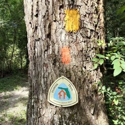 Fred The Guide - A beautiful hike along a section of the National Scenic Florida Trail