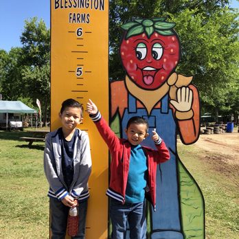 Blessington Farms - Pumpkin Patches Near Me - Simonton, Texas