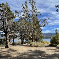 Juniper Point