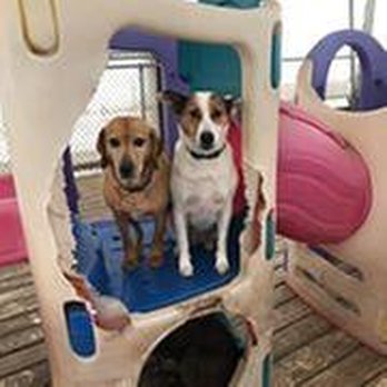 Unleashed - untitled - Pet Groomers Near Me - Cottage Grove, Wisconsin