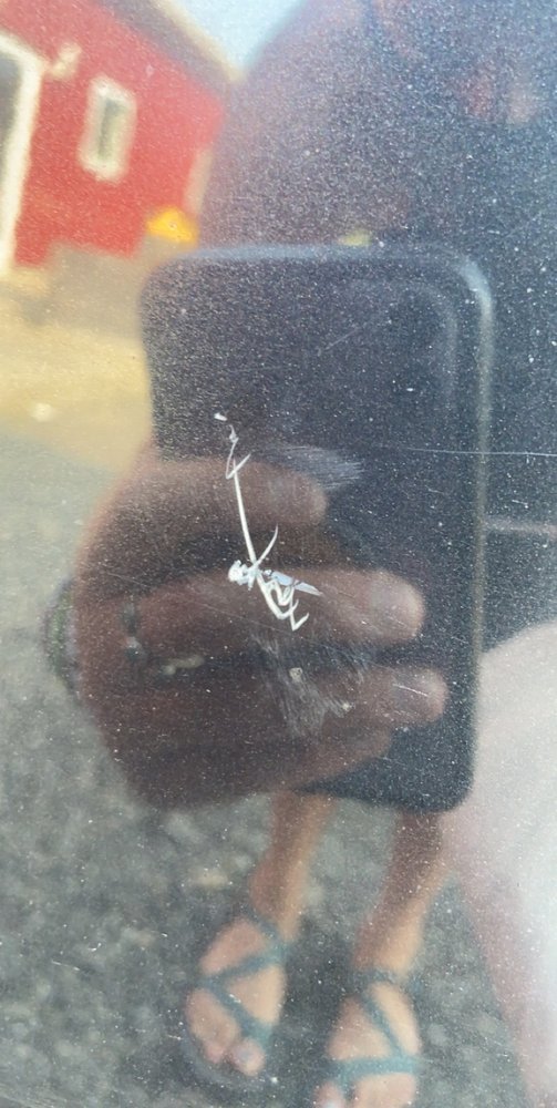 LAKE VIEW FORD Updated October 2024 11 Reviews 12381 Conneaut