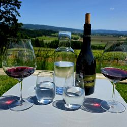 Cellar Select Experiences