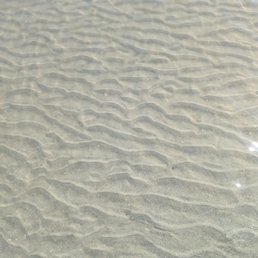 Rippled sand Rippled sand