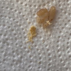 Hawaiian Bros - Gross.. I really hope I didn't eat any of these fly eggs..