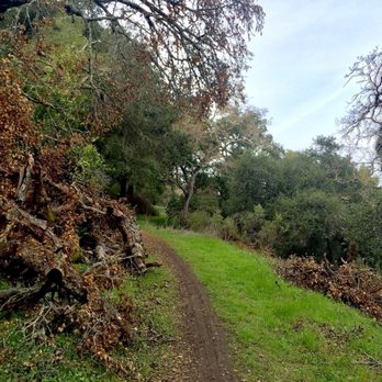 Pleasanton Ridge Regional Park - Parks Near Me - Pleasanton, California