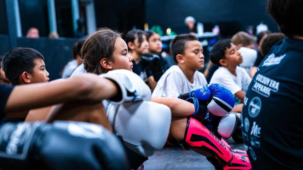 Premier Fight and Fitness Logo