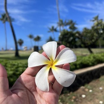 Poipu Beach - Beaches Near Me - Koloa, Hawaii Poipu Beach - Beaches Near Me - Koloa, Hawaii